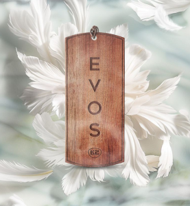 Αρωματικό Αυτοκινήτου Κρεμαστό Ξύλινο K2 EVOS GRACE ANGEL 1τμχ.