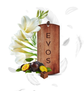 Αρωματικό Αυτοκινήτου Κρεμαστό Ξύλινο K2 EVOS GRACE ANGEL 1τμχ.